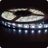   12  Neon-Night IP65, SMD 5050, 60 /, 