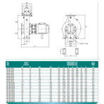     Bombas PSH Aquatic Park AP 150-315/A, 45kW, 380V