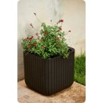   () Keter CUBE PLANTER M, 22,   521