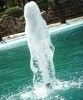 Фонтанная насадка Fontana Fizz Jet Фонтанная насадка Fontana Fizz Jet